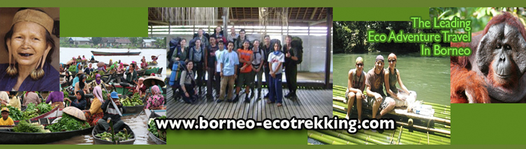 borneo-ecotrekking