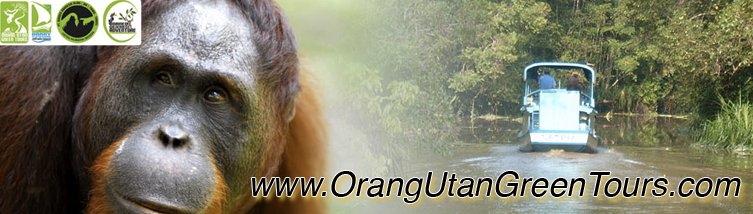 orangutangreentour