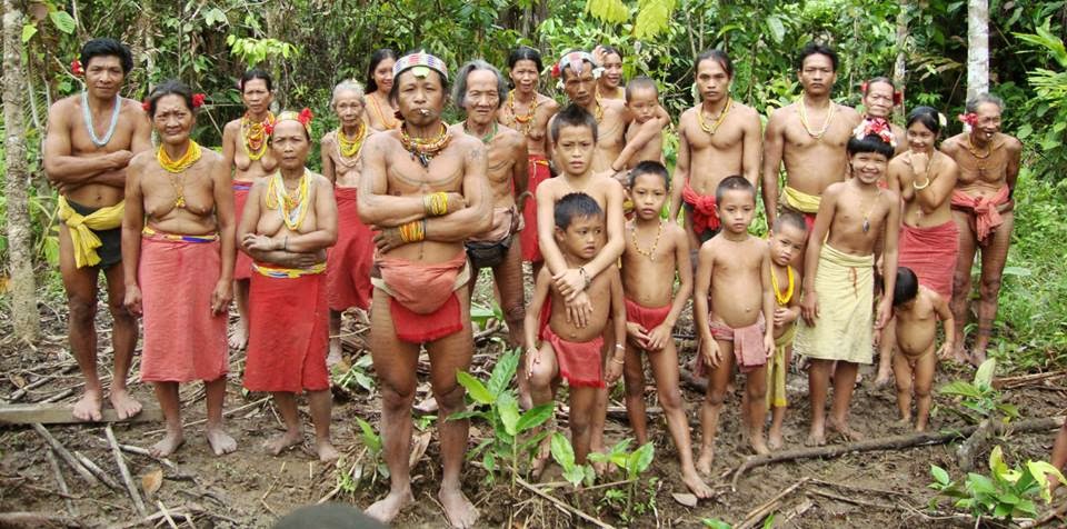 Île de Siberut, La Maison De Mentawai Tribe - West Sumatra