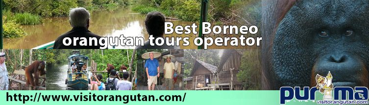 Purima Voyage, votre meilleur compagnon Visiter Orangutan de Bornéo