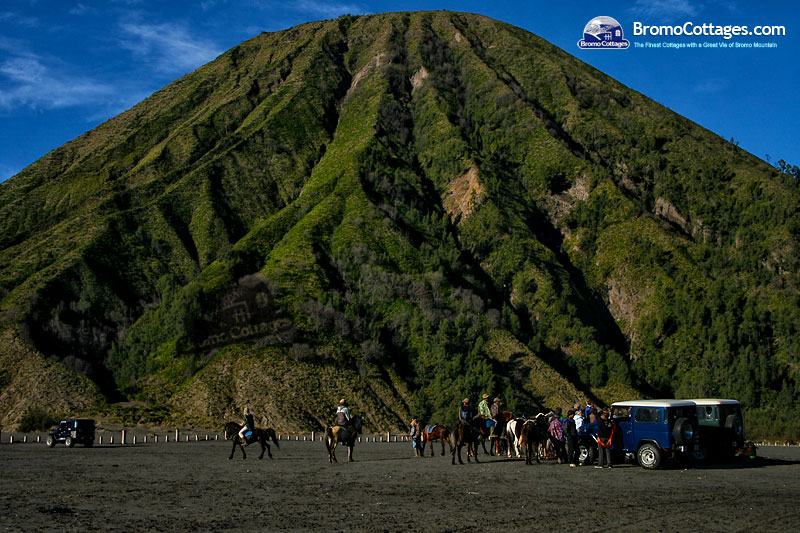 Bromo Cottages, the Finest Cottages with A Great View of Bromo Mountain