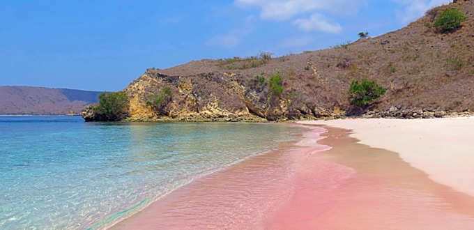 The Great Vacation in Pink Beach - Komodo Island Indonesia