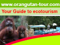 borneo eco tours