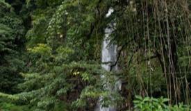lembah-anai-waterfall-west-sumatra-4.jpg