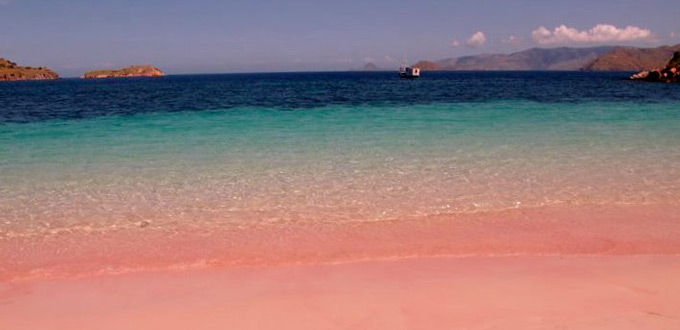 pink-beach-komodo,-Lombok