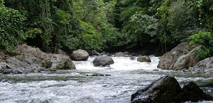 tour-package-the-heart-of-borneo