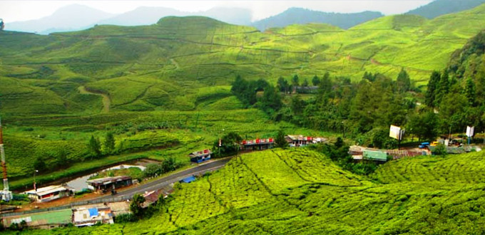 west-java-classic-puncak