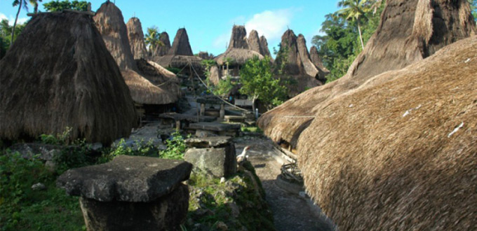sumba-in-depth-discovery