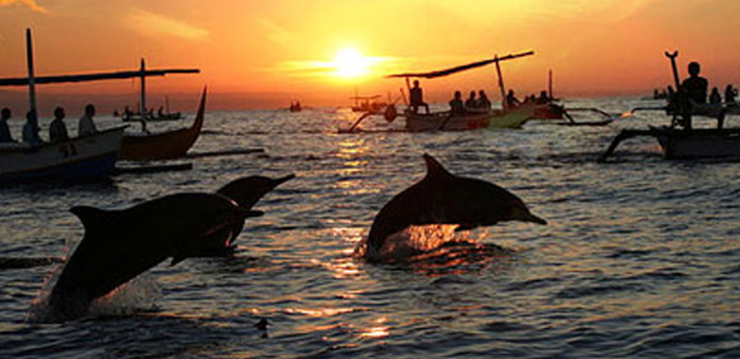 bali-round-trip(dolphin-sunrise)