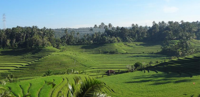 Cempaka-Belimbing-Villa-Bali