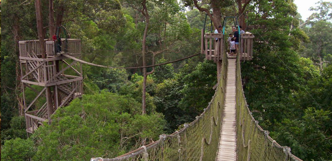 Bukit-Bangkirai-forest-balikpapan-kaltim