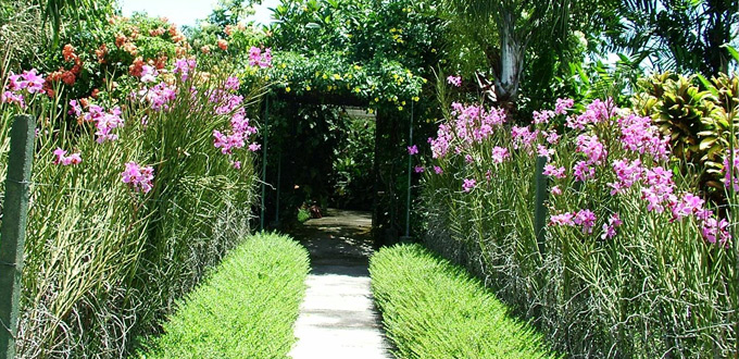 Orchid-garden-Bali