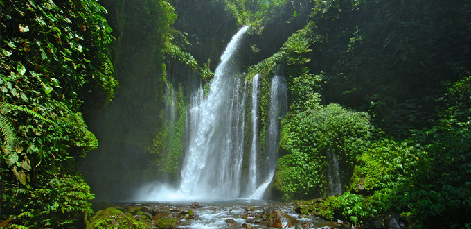 Tiu-Kelep-waterfall-lombok-NTB