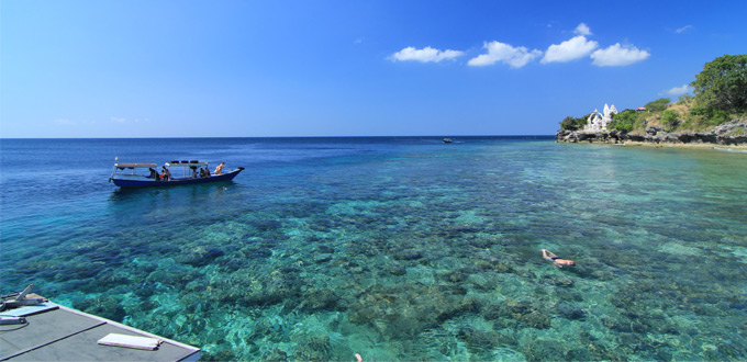 menjangan-bali-island