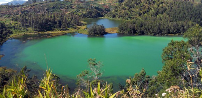 Dieng-Plateau-wonosobo-jateng