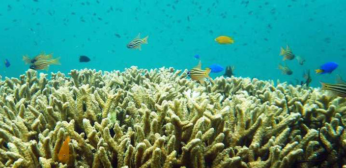 Kelagian-island-lampung