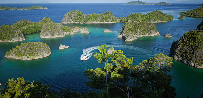 pianemo-raja-ampat