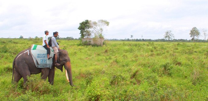 Way-kambas-riding-elephant