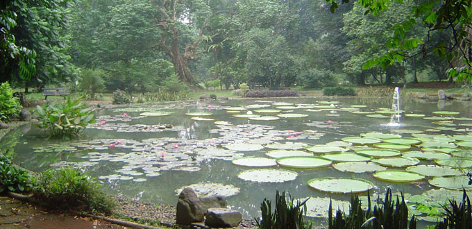 Kebun-Raya-bogor-jawa-barat