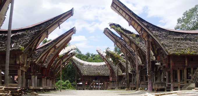 palawa-tana-toraja-south-sulawesi
