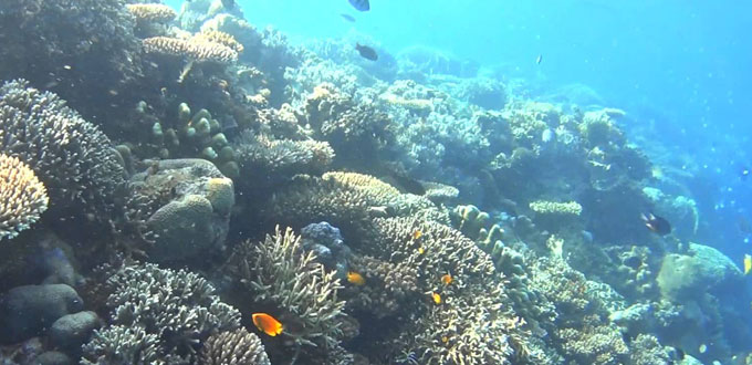 underwater-gorontalo