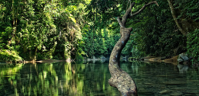 Gunung-Leuser-National-Park