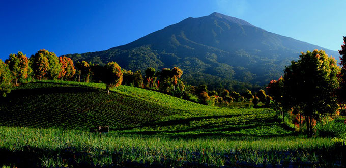 mount-kerinci-west-sumatra